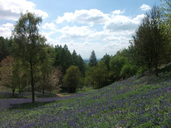 Clent Hills.jpg